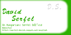 david serfel business card